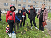 Высадка дубовой аллеи в честь ЮННАТОВ