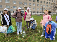 Высадка дубовой аллеи в честь ЮННАТОВ