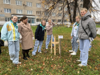 Высадка дубовой аллеи в честь ЮННАТОВ