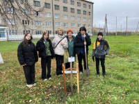 Высадка дубовой аллеи в честь ЮННАТОВ