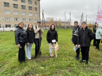 Высадка дубовой аллеи в честь ЮННАТОВ