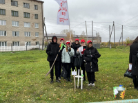 Высадка дубовой аллеи в честь ЮННАТОВ